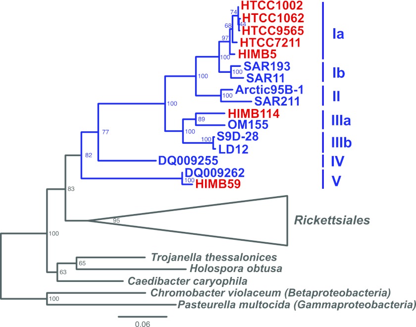 FIG 1 