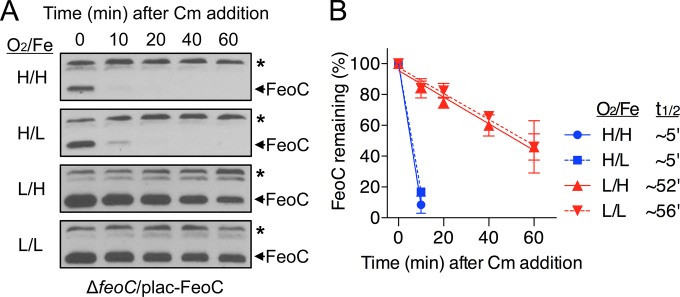 FIG 2