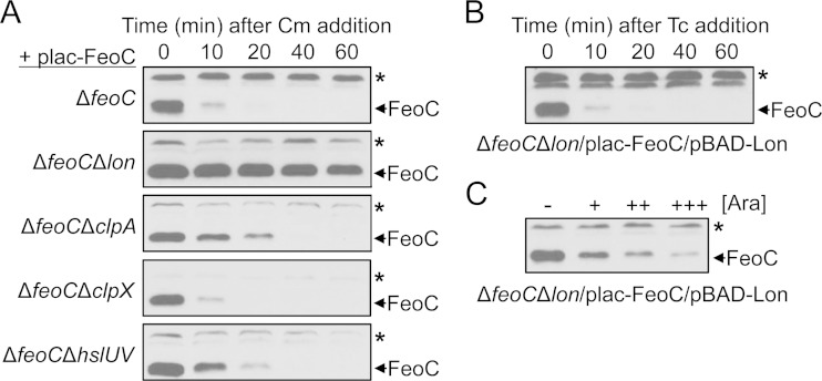 FIG 3