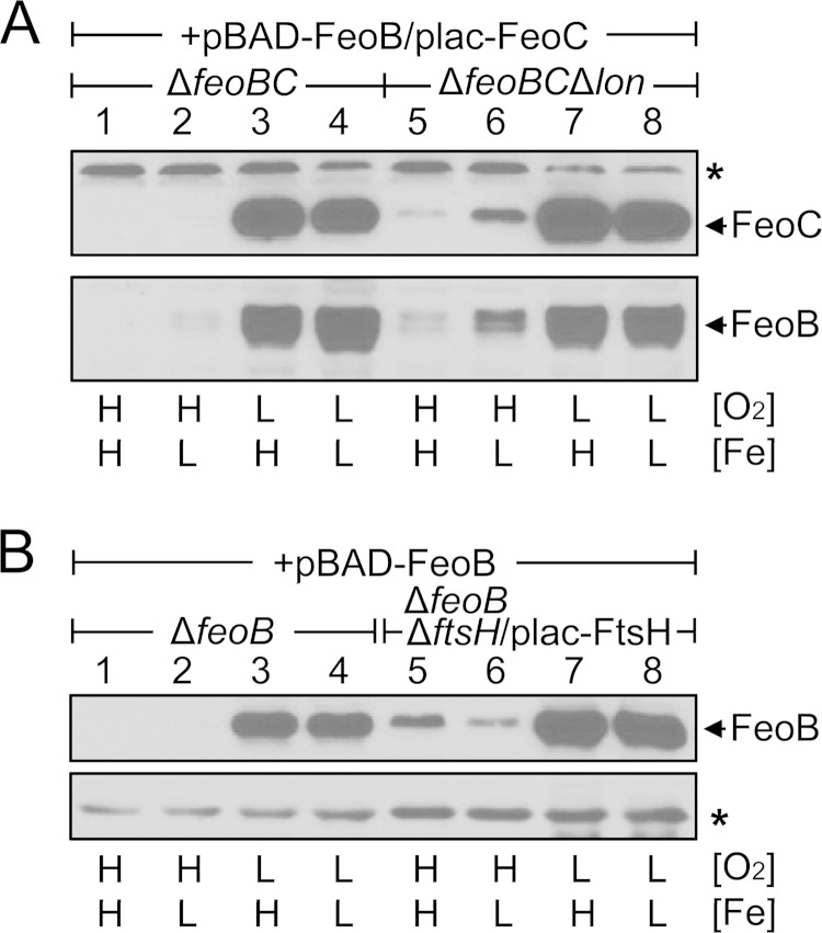 FIG 5