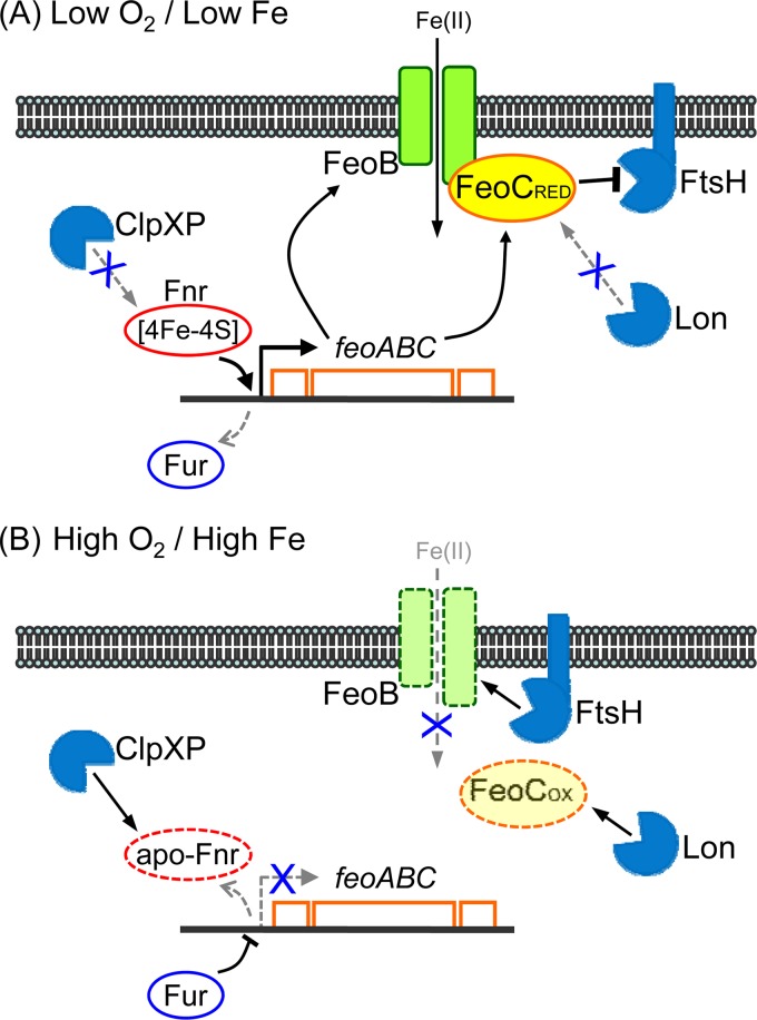 FIG 6