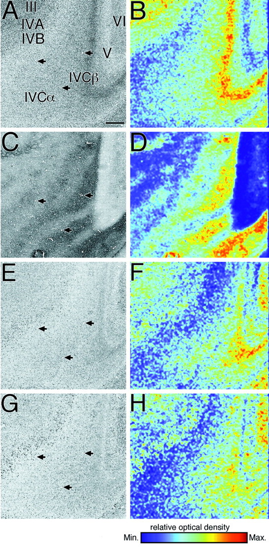 Fig. 8.