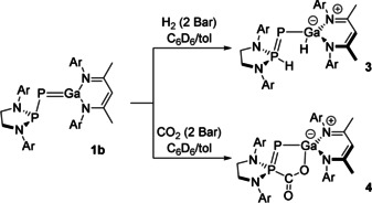 Scheme 2