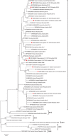 FIGURE 2