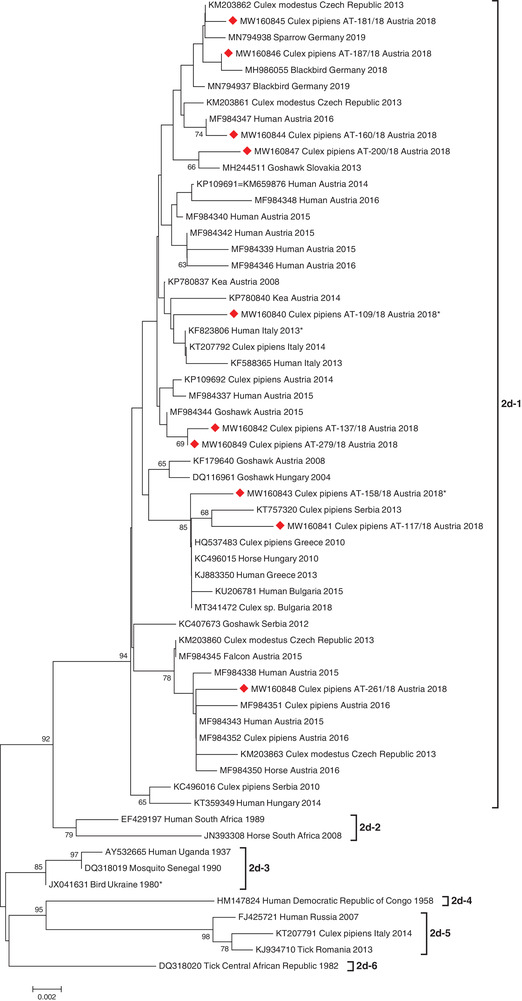 FIGURE 2