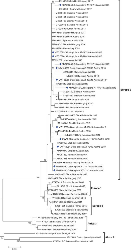 FIGURE 3