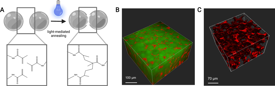 Figure 7: