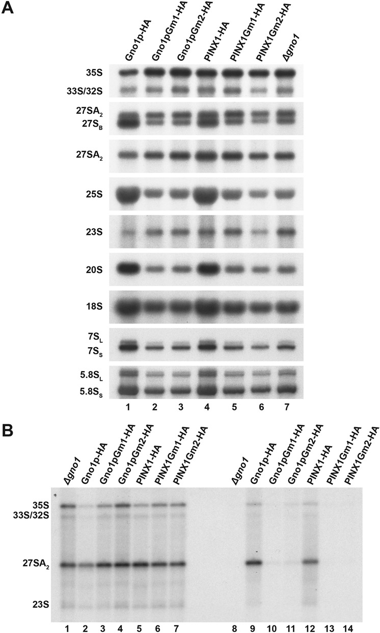 Figure 6.