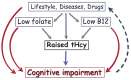 Fig.2