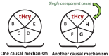 Fig.1