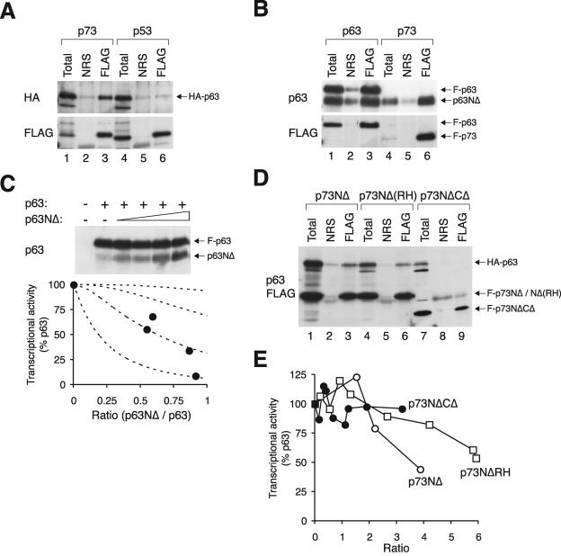 FIG. 9.