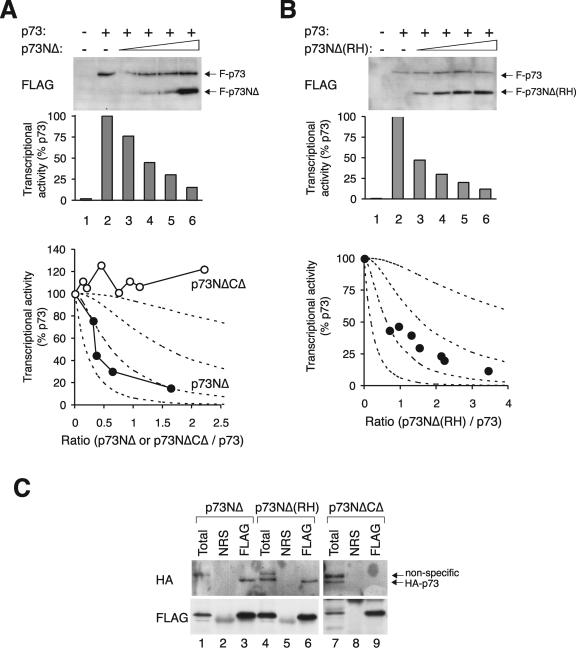 FIG. 8.