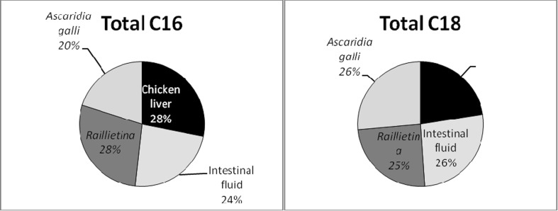 Fig. 6