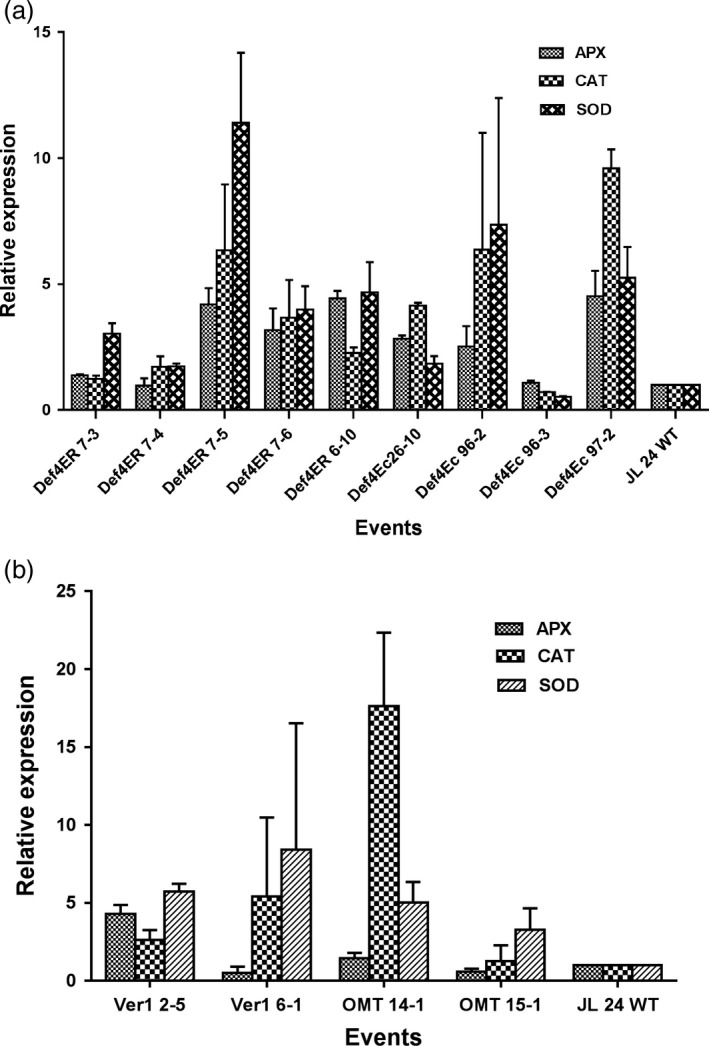 Figure 4