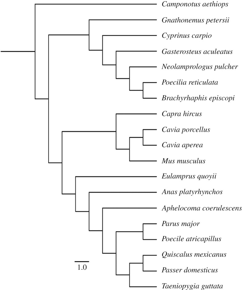 Figure 2.