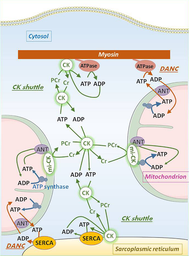 FIGURE 2