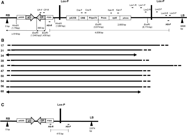 Fig. 1