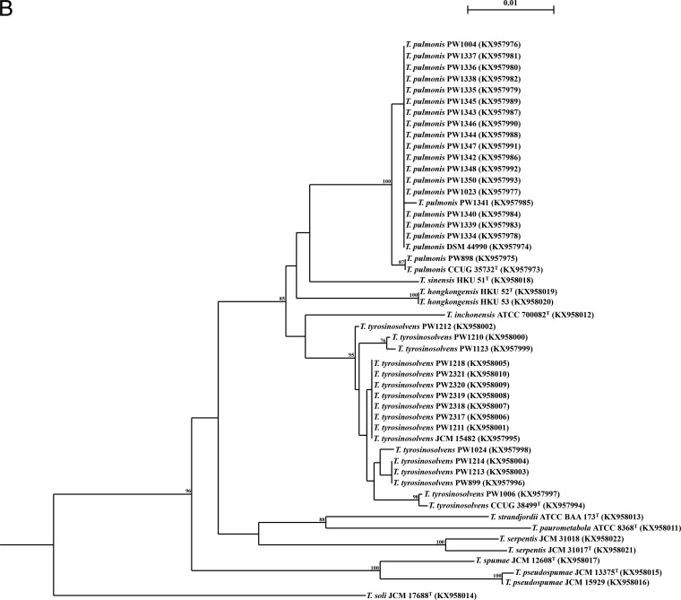 FIG 1