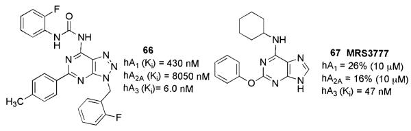 Fig. 10