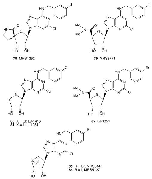 Fig. 13