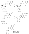 Fig. 13