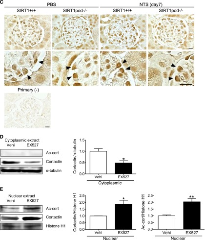 Figure 10.