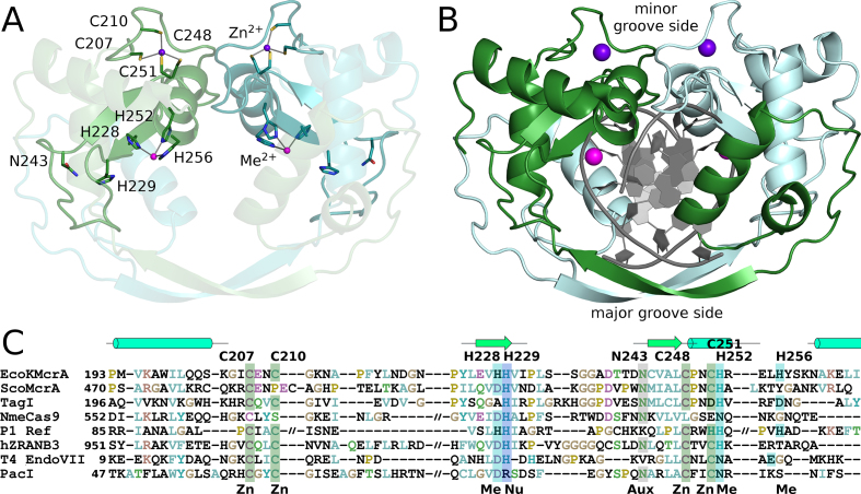 Figure 6.