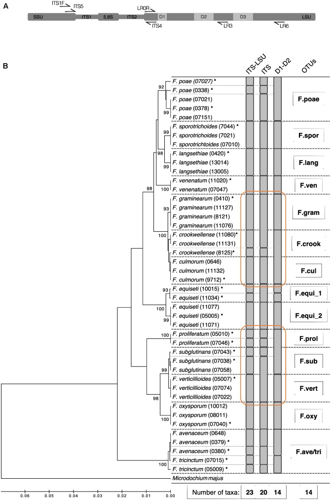 FIGURE 1