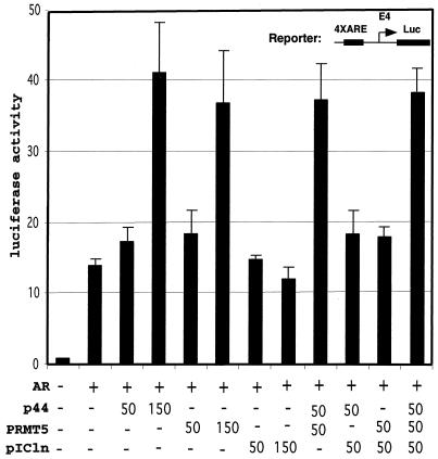 FIG. 6.