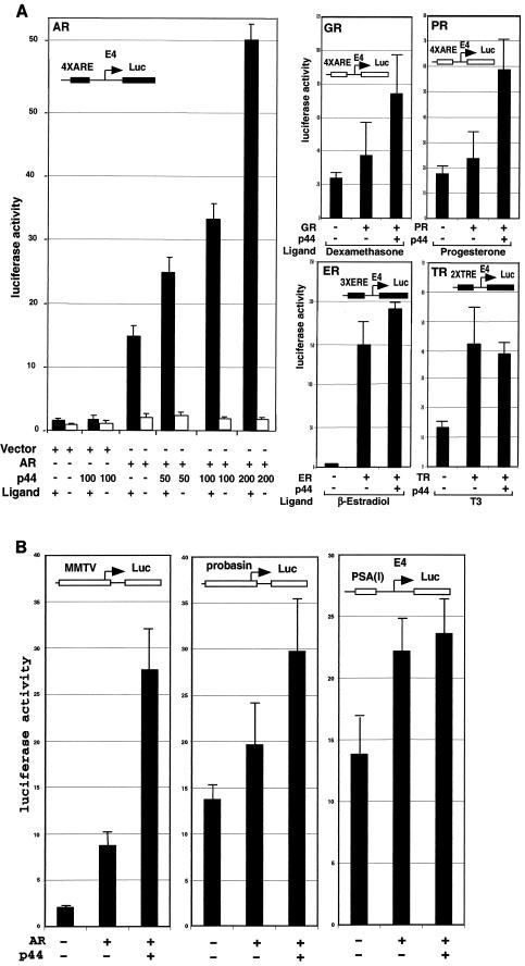 FIG.4.