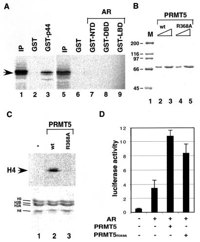 FIG. 7.