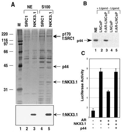 FIG. 2.