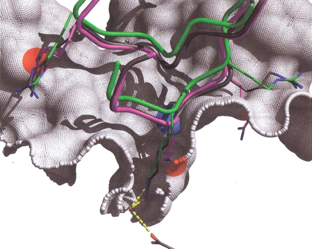 Fig. 2.