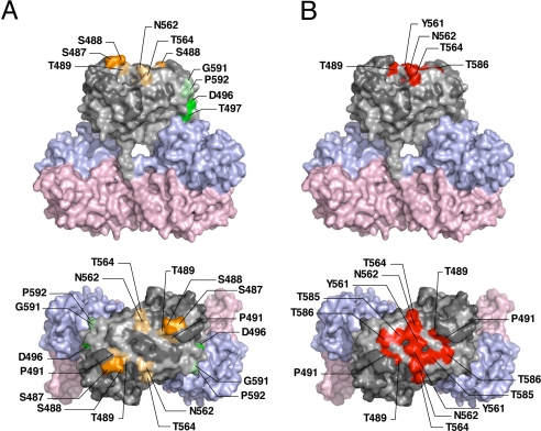 Fig. 4.