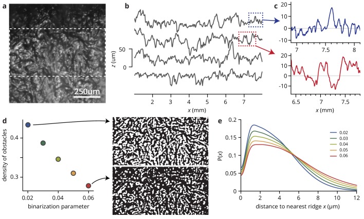 Figure 1—figure supplement 2.