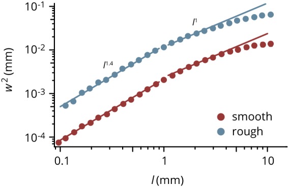 Figure 1—figure supplement 3.