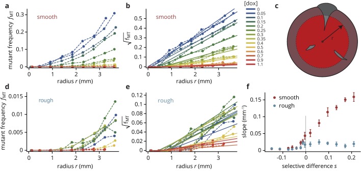 Figure 2—figure supplement 2.