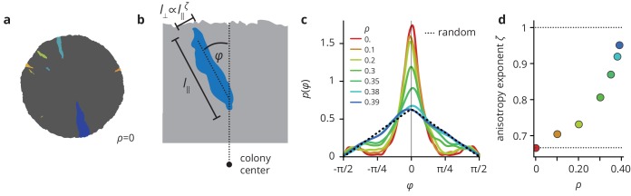 Figure 6—figure supplement 1.