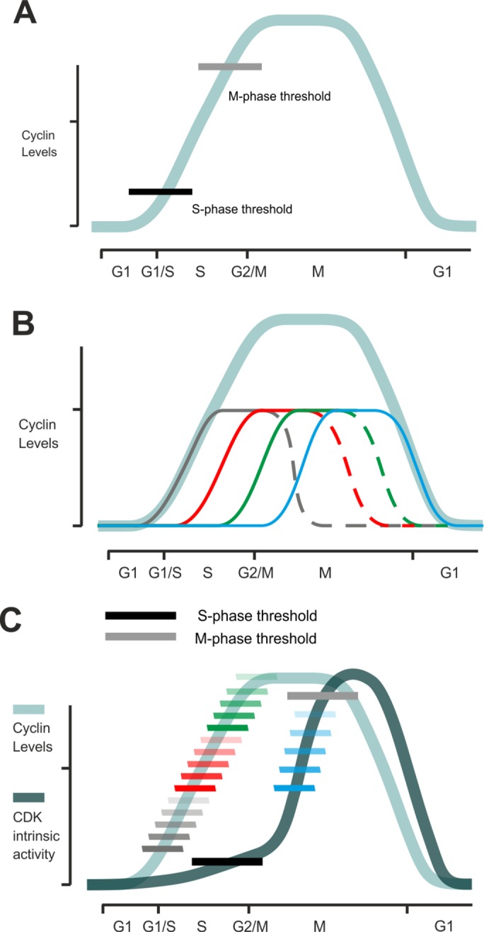 FIGURE 1: