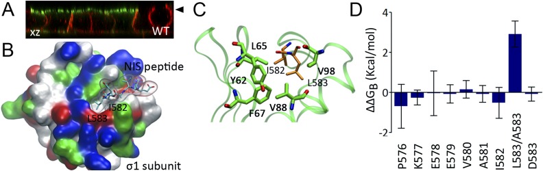 Figure 5.