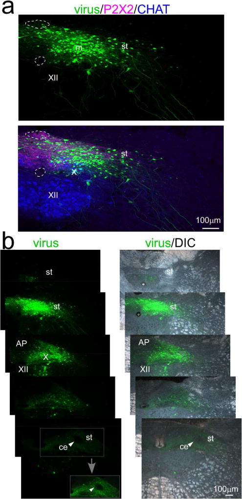 Figure 4