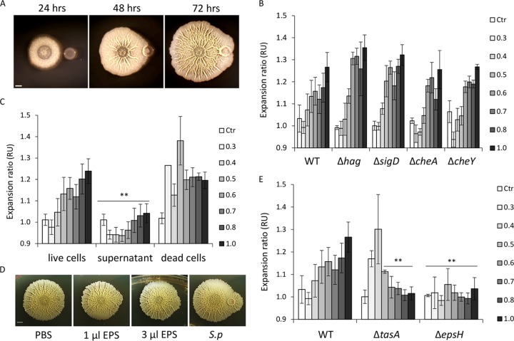 FIG 1