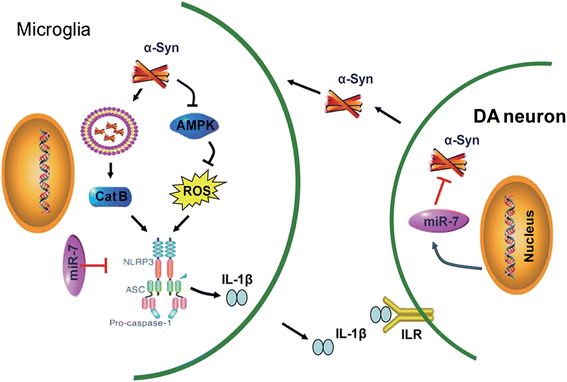 Fig. 7