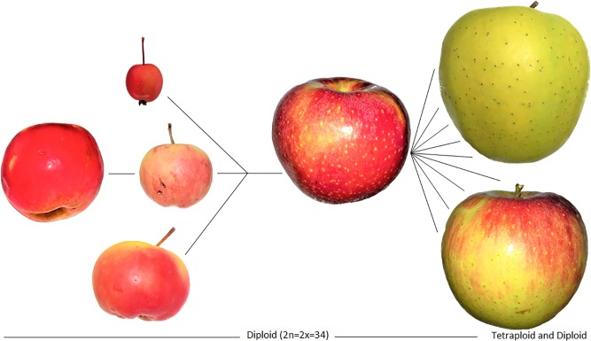 FIGURE 5