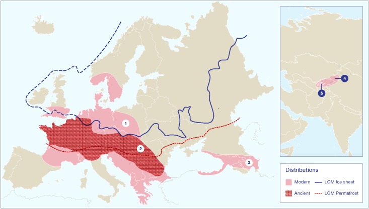 FIGURE 3