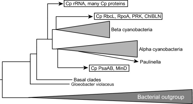 Fig. 6