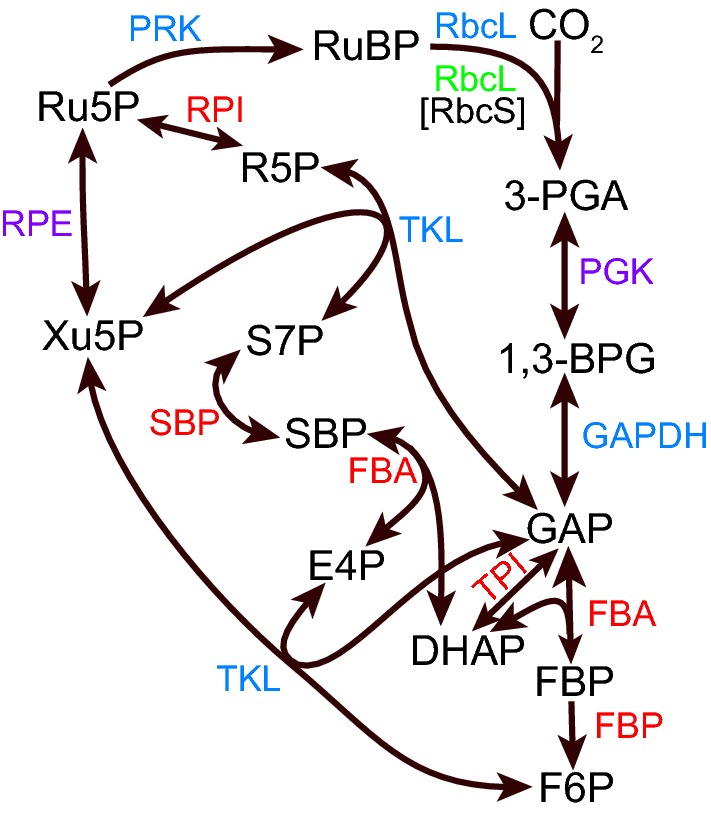 Fig. 3