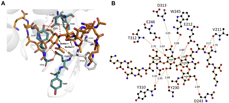 Figure 4