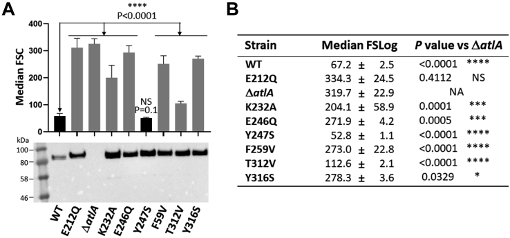 Figure 6