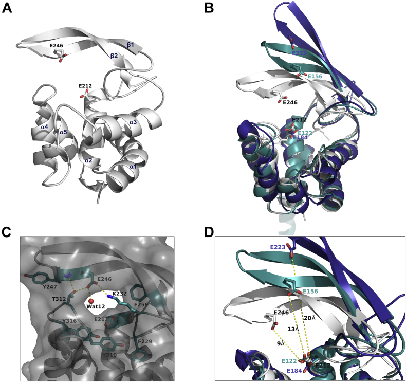 Figure 1